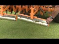 SISIS Multislit Tractor Mounted Slitter For Golf Course Maintenance