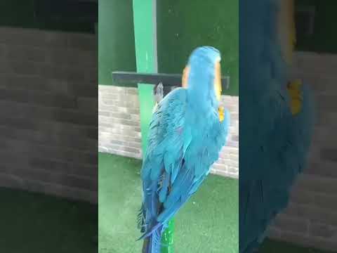 adi antha nonsense gurthu pettuko #youtubeshorts #quotation # something #nature