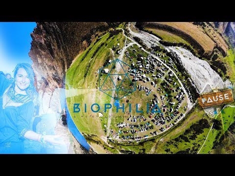 download lagu mp3 mp4 Alcohol Free Festival, download lagu Alcohol Free Festival gratis, unduh video klip Alcohol Free Festival
