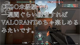 【VALORANT】すごくおもしろいげーむ。