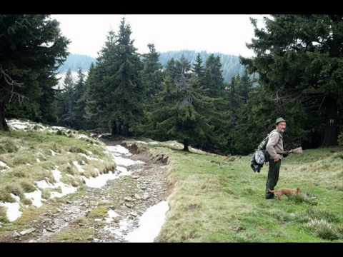 Culori de toamna in Muntii Buzaului