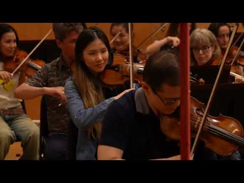 Strauss’s Ein Heldenleben in Rehearsal (Met Orchestra)