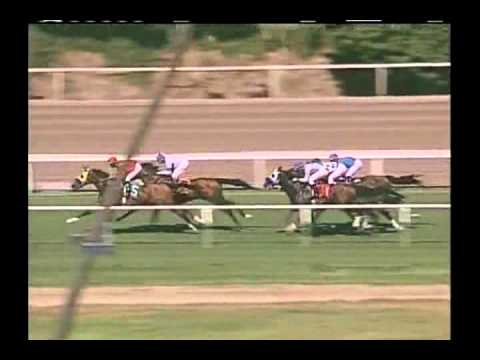 2003 American Handicap - Candy Ride