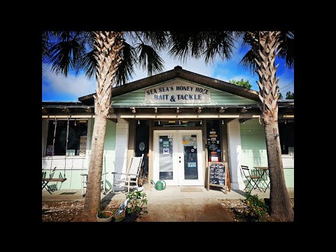 Day at the Bait Shop.