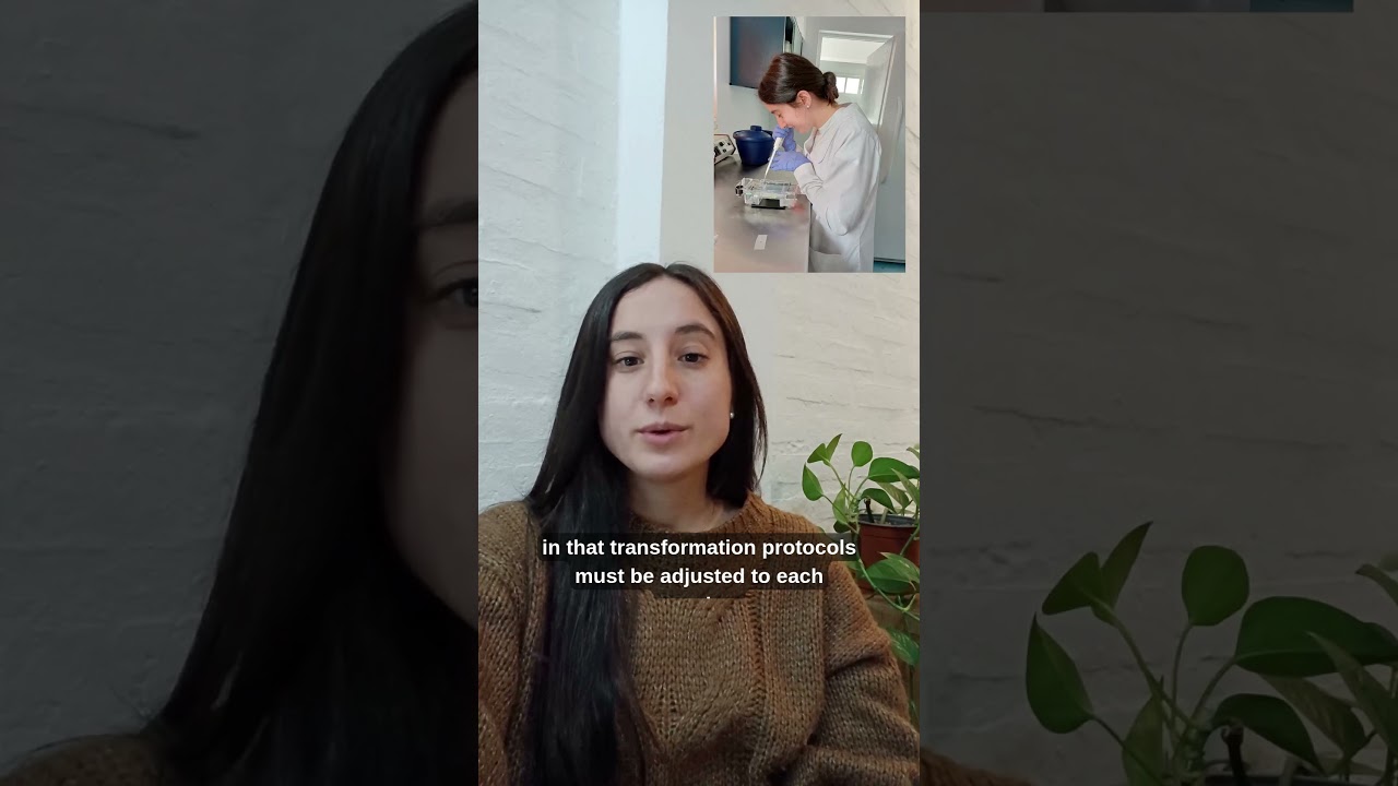 Youth Skills: Luciana di Sario