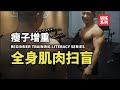 新手必看的健身指南:带你认识全身肌肉,手把手打造下一个彭于晏【增重训练扫盲01】【卓叔增重】