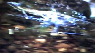 &quot;Jesus Lizard&quot; and &quot;flying snake&quot; by diegogioè (pretestomusica)