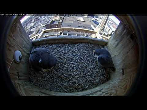 March 9 2020 1122AM dance