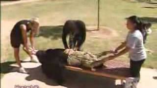 Woman is being pulled apart!!!