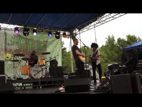 Wild Adriatic - "Strange Persuasions" Official Music Video