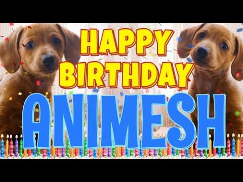 Happy Birthday Animesh! ( Funny Talking Dogs ) What Is Free On My Birthday