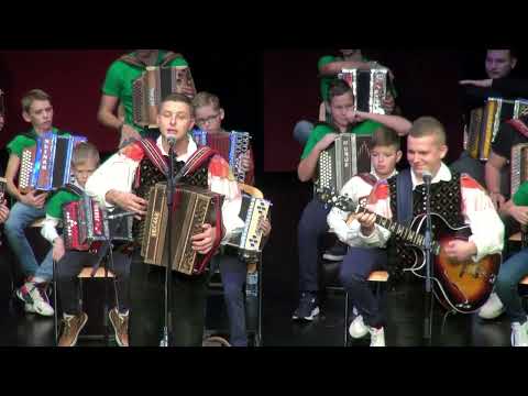 Ansambel Krimski lisjaki in harmonikarji Janeza Lekšeta - Žarek sreče (v živo)