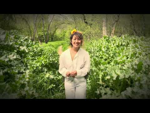 Cara de tonta - GREX