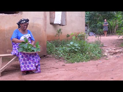 I Beg You Don’t Skip This Interesting Family Village Movie Based On A True Love Story-African Movies