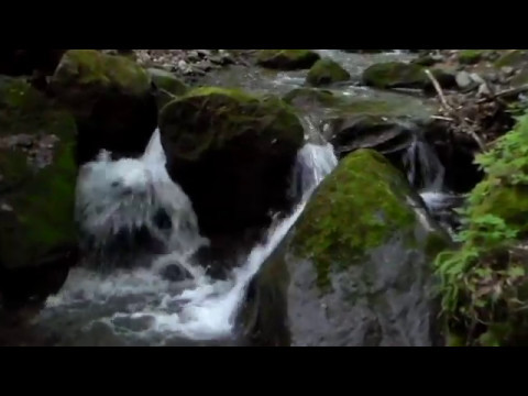 Pe valea Urviș și Botfei