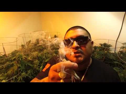 HIGH ROLLAZ - "WAS DA MAN" FT. CORTEZ