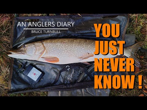 An Anglers Diary with A Moment in Time Channel - Chapter 93 - Pike Fishing