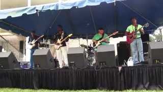 Kipori Woods, Guitar Slim, Jr. & Lil Buck Sinegal -- Voice of the Wetlands Festival 2014