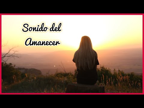SONIDO del AMANECER en el CAMPO (1 Hora) 🌄🎶🔊