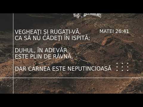 Cor fete - Veghează, veghează!