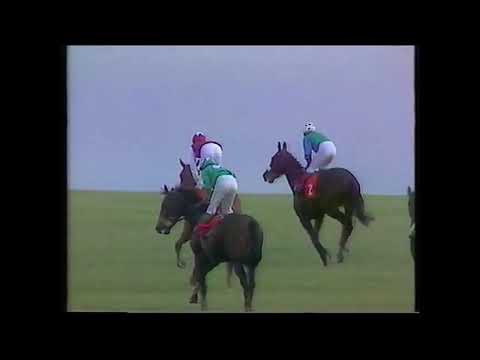 1990 Middle Park Stakes Lycius (abuelo de Laurenco)
