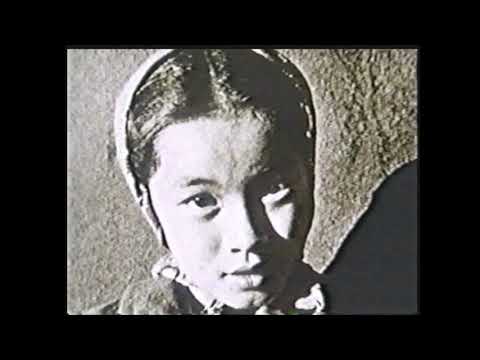 Excerpt: WATARIDORI: BIRDS OF PASSAGE by Robert Nakamura