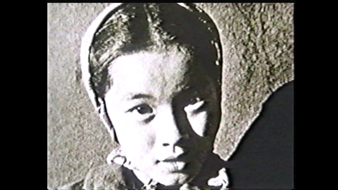 Excerpt: WATARIDORI: BIRDS OF PASSAGE by Robert Nakamura