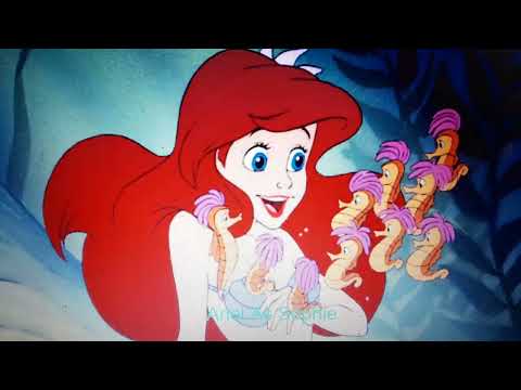 Stellastasia (1997) Cast Video