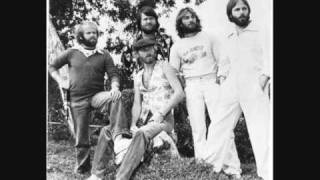 The Beach Boys - Roller Skating Child