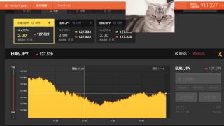 【FX】1万円から始める為替取引【BO】