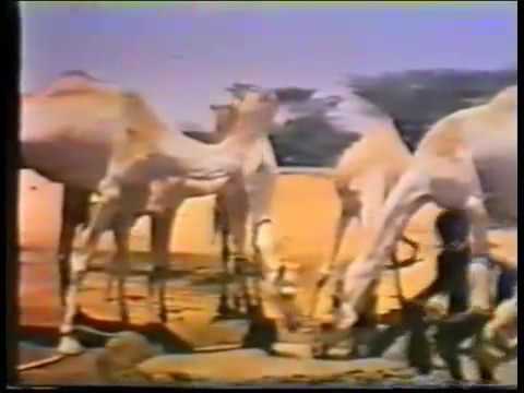 Eritrea, 'The Forgotten War' Swedish documentary, 1980