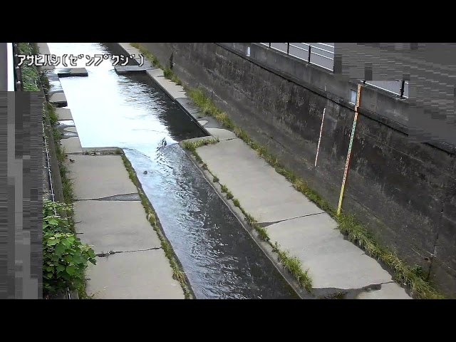 朝日橋映像監視局