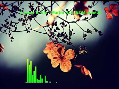 7 years to life - Martin Hall |EDM Song 2019