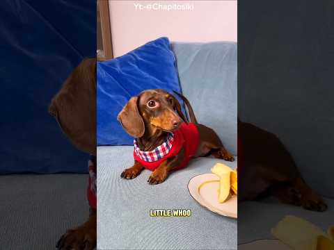 Instant Snack Revenge! 🤣🍦