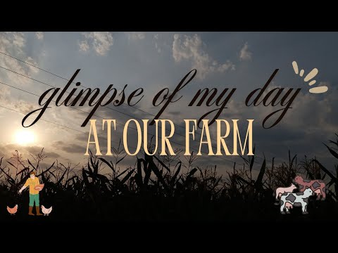 Glimpse of a day at farm