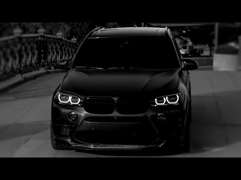 Foretanya Farasi Hox M5 performance