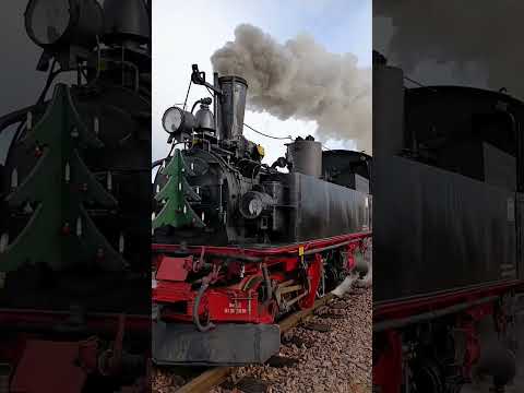 Besuch der Glühweinfahrt beim Wilden Robert (28.12.2025)