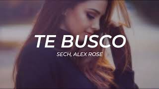 Sech, Alex Rose - Te Busco || LETRA