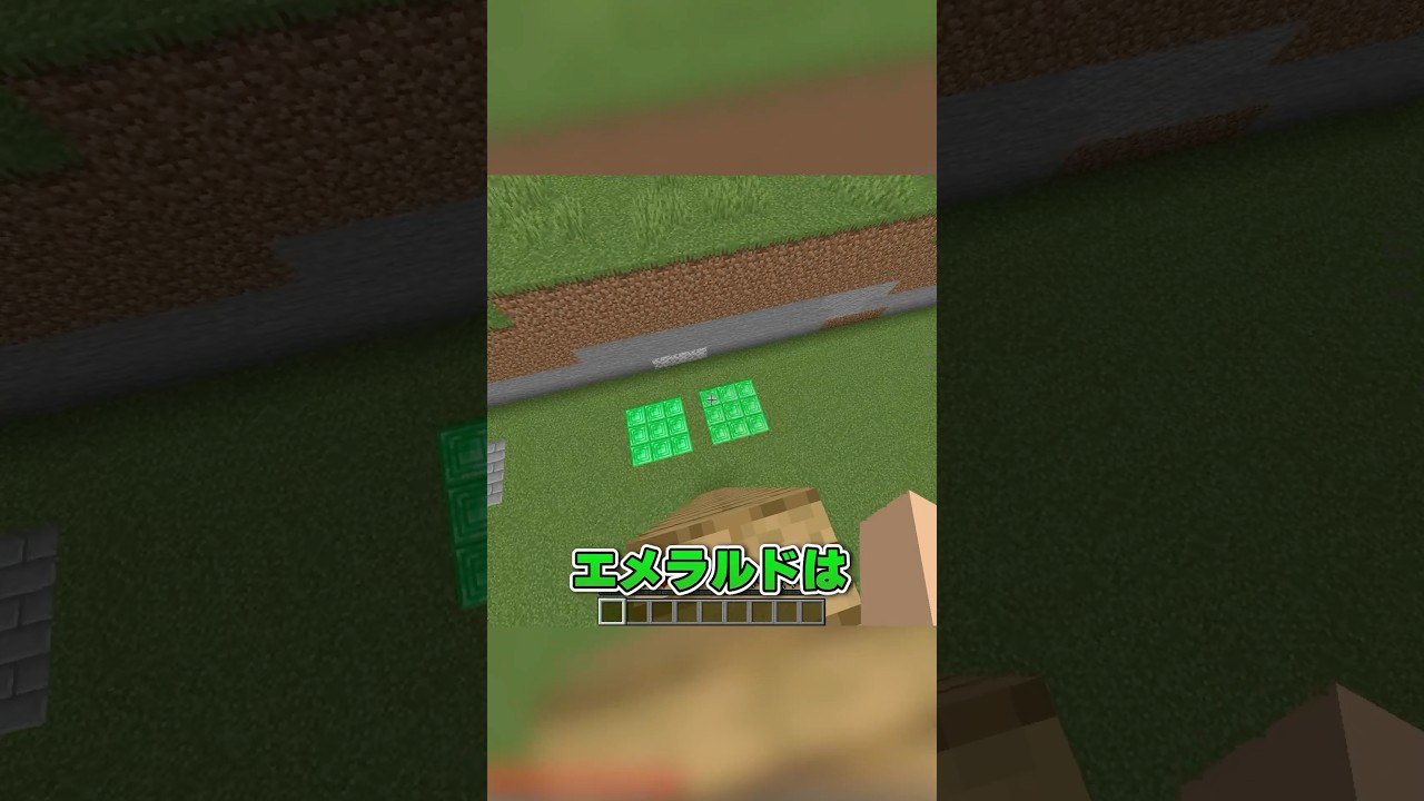 本物はどっち？ #マイクラ