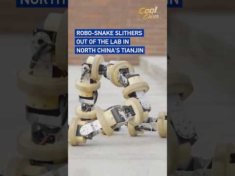 Robo-snake slithers out of the lab in north China's Tianjin #coolchina