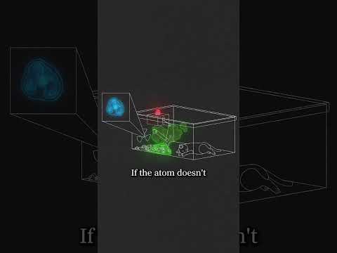 The Most Controversial Thought Experiment In Physics