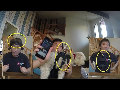 Gopro Dog Harness Accessory Kit and Three Other Creative Unexpected Usages