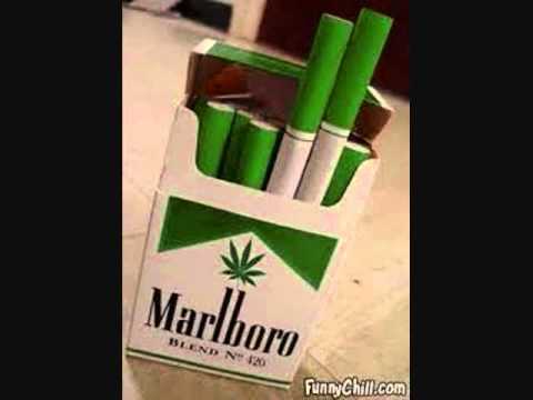 Kebo Gotti - True Story ( Bricksquad 1017 Diss )