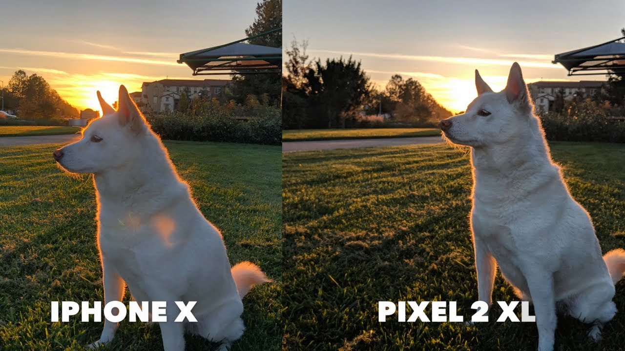 iPhone X vs Pixel 2 XL Camera Comparison