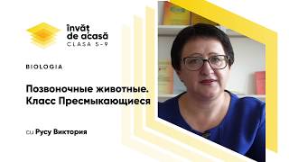 "Позвоночные животные. Класс Пресмыкающиеся"