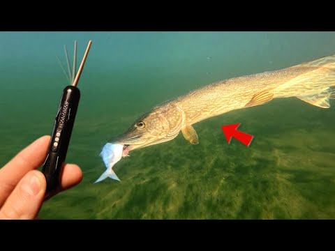 Catch More PIKE with the Kanama Smart Bait Mini !