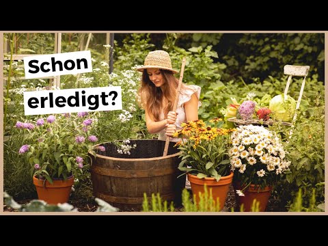 Die 16 wichtigsten Gartenaufgaben im Juli