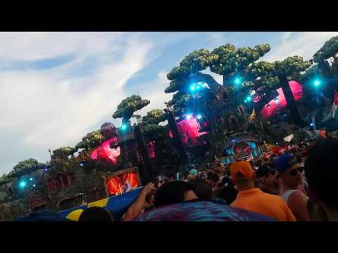 TML2016 - Steve Aoki ► What's My Age Again (Blink 182)