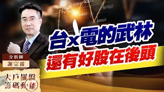 台x電的武林 還有好股在後頭 (圖)