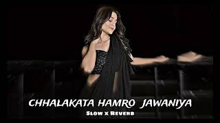 Download lagu Chalkat Hamro Jawaniya🔥|| Slowed Reverb || #pawansingh #bhojpurisong #slowedandreverb #lofiversion mp3 Download lagu Chalkat Hamro Jawaniya🔥|| Slowed Reverb || #pawansingh #bhojpurisong #slowedandreverb #lofiversion mp3
